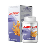 Cordyceps Pulse BG lungs Продукт