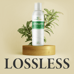 Lossless Продукт